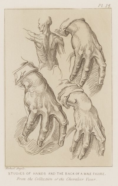 Mieshahmon käsien ja selän tutkimukset (etsaus) tekijältä Michelangelo (after) Buonarroti