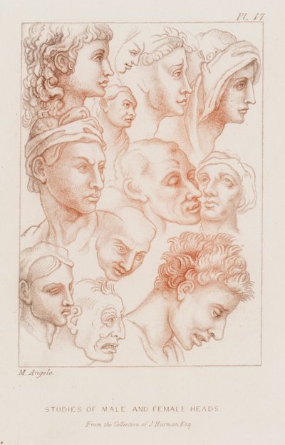 Miesten ja naisten päiden tutkimukset (etsaus) tekijältä Michelangelo (after) Buonarroti