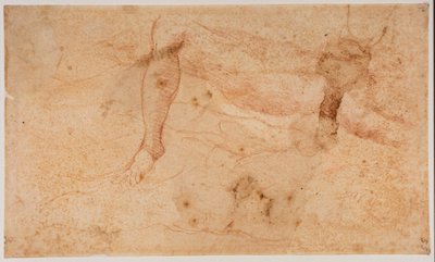 Alastonkuvia koskevat tutkimukset tekijältä Michelangelo (after) Buonarroti
