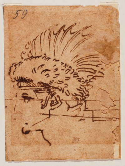 Harjakattoinen pää tekijältä Michelangelo Buonarroti