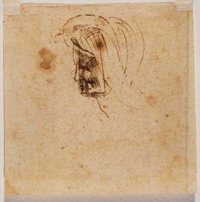 Naisen pää tekijältä Michelangelo Buonarroti