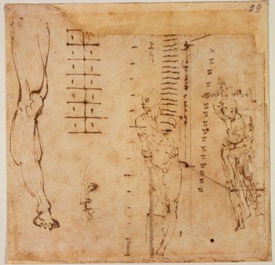 Kuva tutkimukset tekijältä Michelangelo Buonarroti