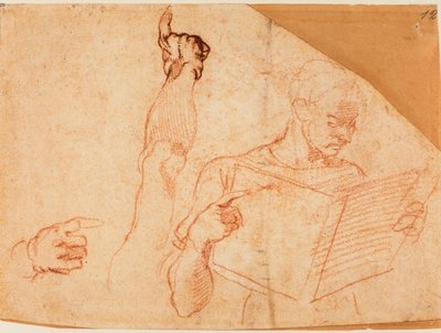 Sikstuksen kappelin "Amanin rankaiseminen" -kuvaesimerkki. tekijältä Michelangelo Buonarroti