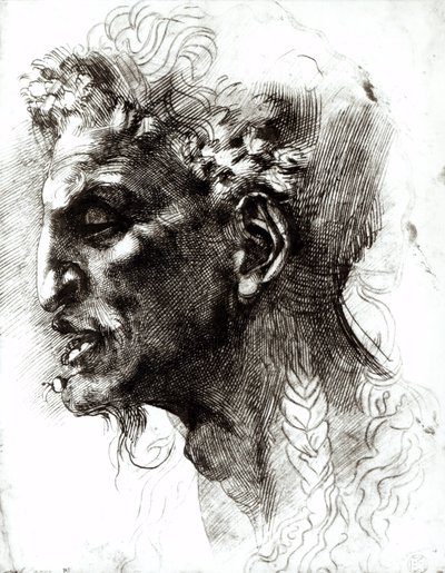 Satyyrin pää tekijältä Michelangelo Buonarroti