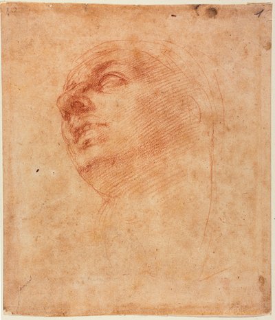 Sikstuksen Joonan pääkirjoitus tekijältä Michelangelo Buonarroti