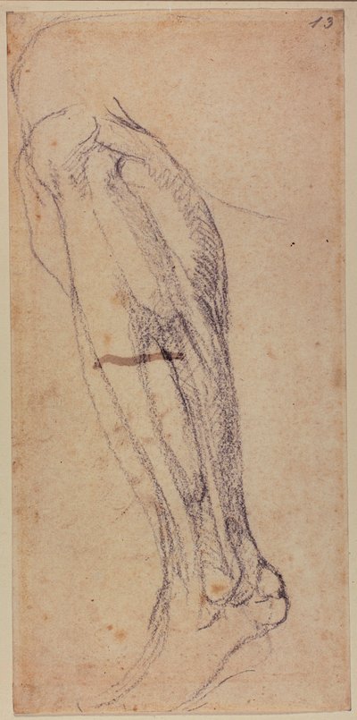 Jalkatutkimus tekijältä Michelangelo Buonarroti