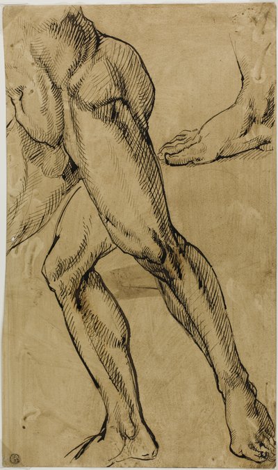 Miesten alaston jalat tekijältä Michelangelo Buonarroti
