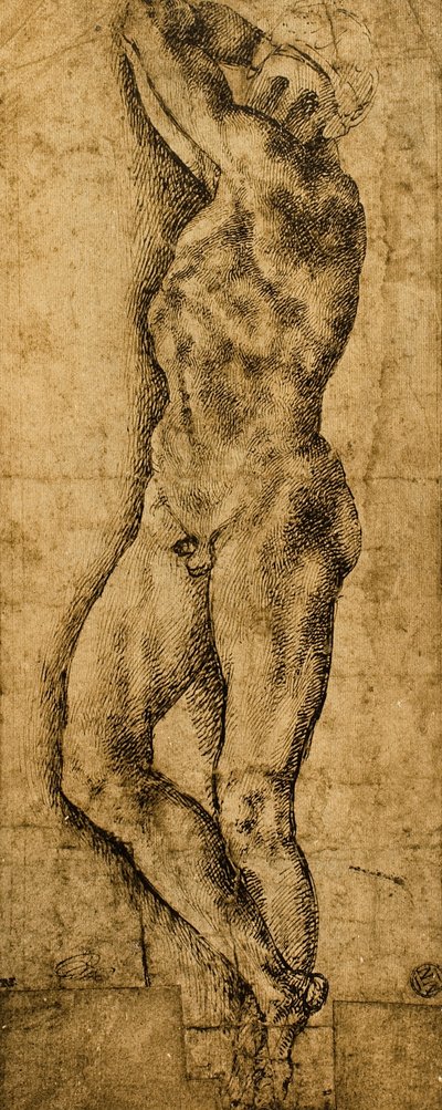 Mies alaston; piirustus Michelangelo. Louvre, Pariisi tekijältä Michelangelo Buonarroti