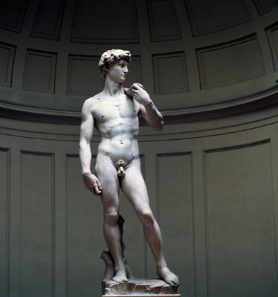 Michelangelon David, 1500-luku tekijältä Michelangelo Buonarroti
