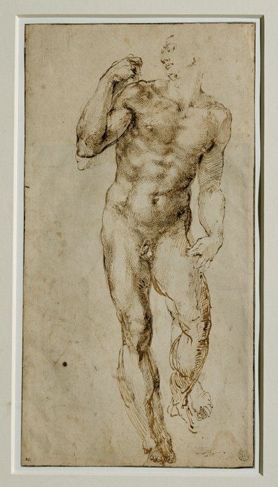 Miehen alaston, etukuva, noin 1502-1506 ... tekijältä Michelangelo Buonarroti