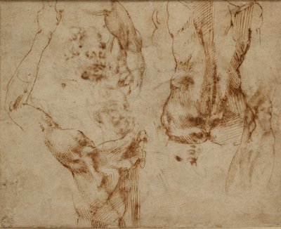 Nude Studies, c1490-1560 tekijältä Michelangelo Buonarroti