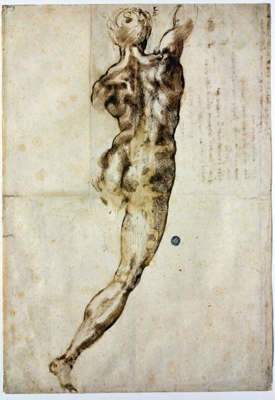 Alaston takaa, c. 1504 tekijältä Michelangelo Buonarroti