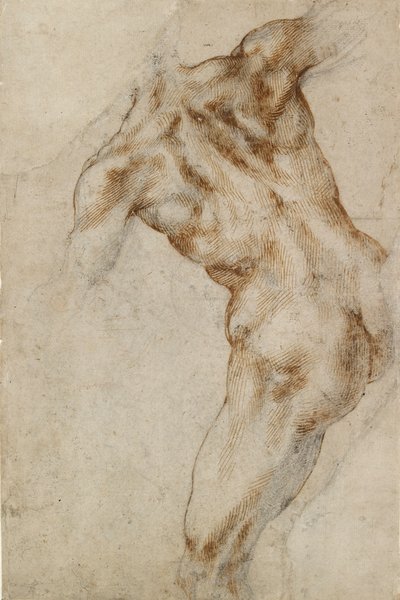 Alaston uros vartalo, 1500-luvun alku tekijältä Michelangelo Buonarroti