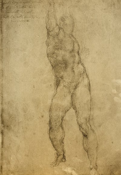 Alastontutkimus, Michelangelon piirustus. Gallerie dellAccademia, Venetsia tekijältä Michelangelo Buonarroti
