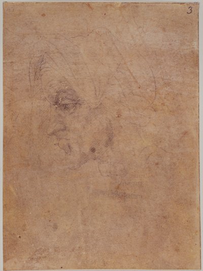 Vanhan naisen profiili tekijältä Michelangelo Buonarroti