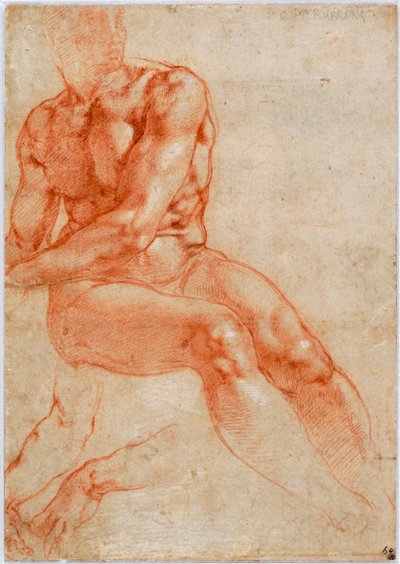 Istuva nuori mies, alaston ja kahden käsivarren tutkimukset, n. 1510-1511 tekijältä Michelangelo Buonarroti