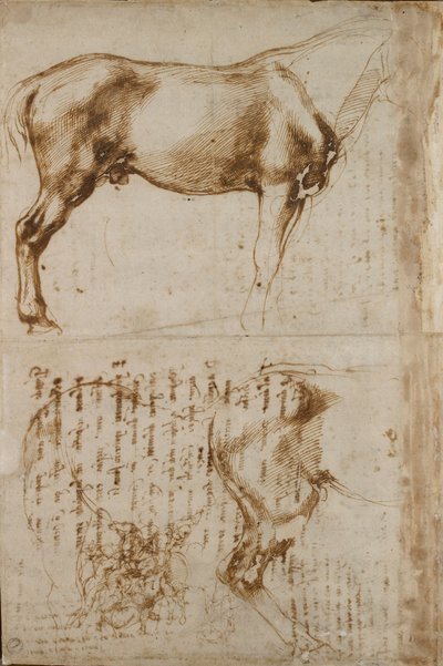 Tutkimuksia hevosesta ja ratsumiehestä, joka hyökkää jalkasotilaita vastaan, 1500-luvun alku tekijältä Michelangelo Buonarroti