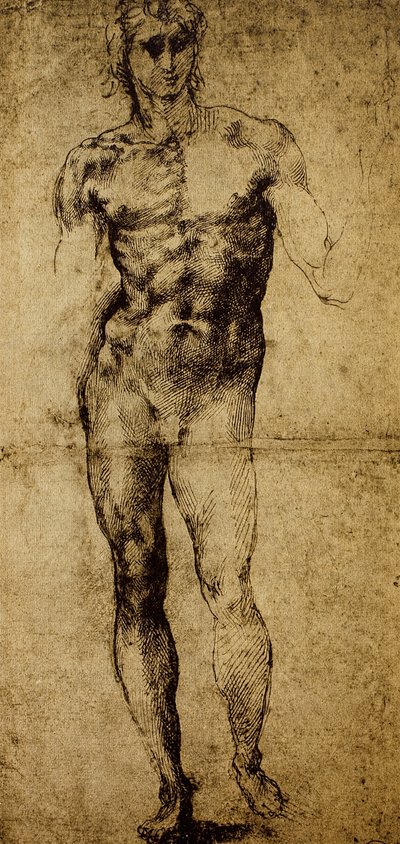 Tutkimus miesalastolle, Michelangelo Buonarroti (1475-1564), piirustus, Pariisi, Louvre-museo tekijältä Michelangelo Buonarroti