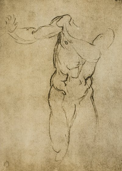 Tutkimus maskuliiniselle rintakuvalle, Michelangelon piirustus. Casa Buonarroti, Firenze tekijältä Michelangelo Buonarroti