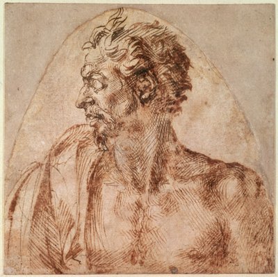 Pään ja hartioiden tutkimus (muste paperille) tekijältä Michelangelo Buonarroti