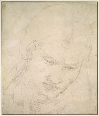 Pään tutkimus (musta liitu valkoisella paperilla) tekijältä Michelangelo Buonarroti