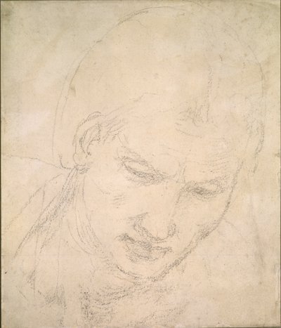 Study of a Head, c1490-1560 tekijältä Michelangelo Buonarroti
