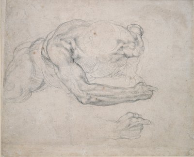 Tutkimus maasta nousevasta miehestä, 1500-luku tekijältä Michelangelo Buonarroti