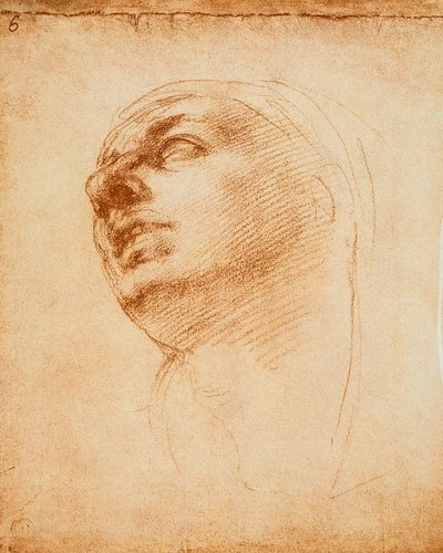 Kasvotutkimus, Michelangelon piirustus. Casa Buonarroti, Firenze tekijältä Michelangelo Buonarroti