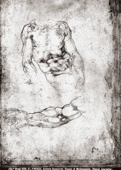 Tutkimus miehen vartalosta ja käsivarresta tekijältä Michelangelo Buonarroti
