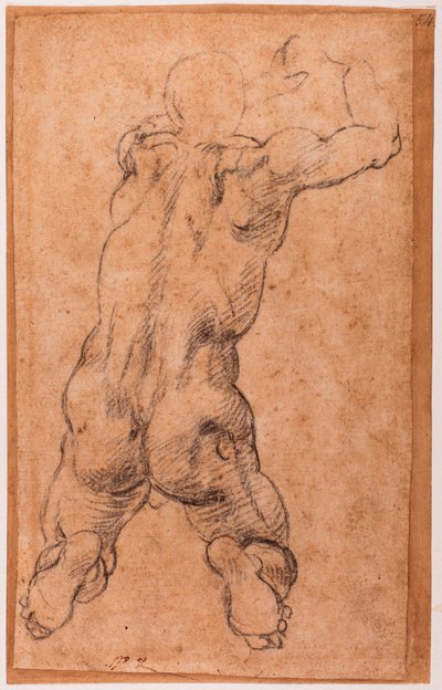 Tutkimus polvistuvasta miespuolisesta alastonkuvasta tekijältä Michelangelo Buonarroti
