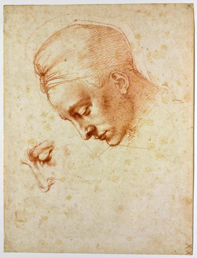 Tutkimus Ledan päällikölle, n. 1530 tekijältä Michelangelo Buonarroti