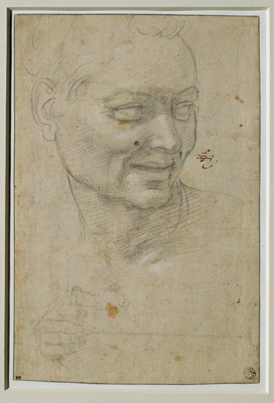 Ignudon pää ja oikea käsi Jesajan yläpuolella ja vasemmalla puolella, Capella Sistinan holvissa ... tekijältä Michelangelo Buonarroti