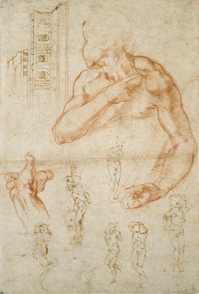 Erilaisia tutkimuksia Sikstuksen katosta ja paavi Julius II:n haudasta, c1490-1560 tekijältä Michelangelo Buonarroti