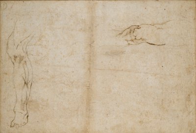 Verso: Tutkimukset miehen jaloista, c1490-1560 tekijältä Michelangelo Buonarroti