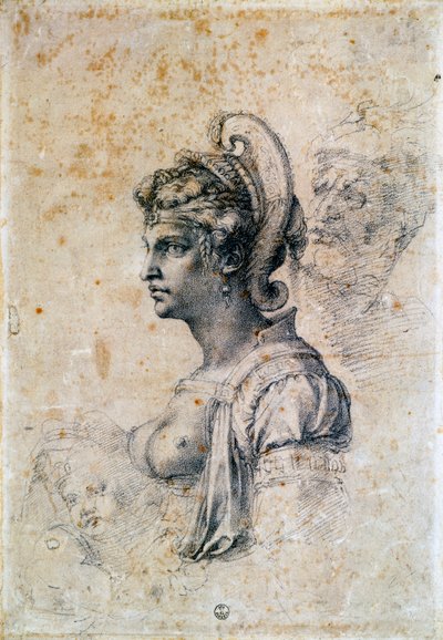 Zenobia tekijältä Michelangelo Buonarroti