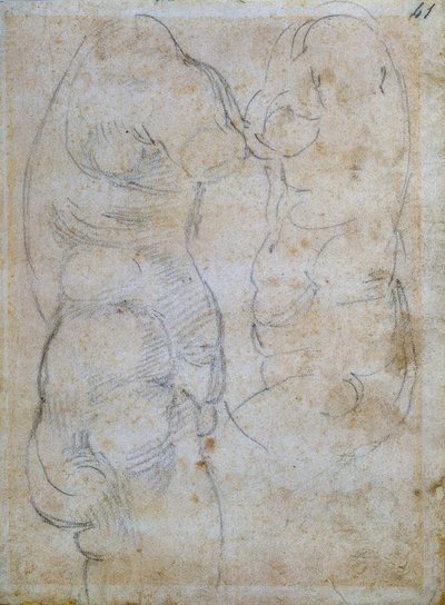 Zwei Studien nach einem antiken Frauentorso tekijältä Michelangelo Buonarroti