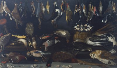 Asetelma lintujen kanssa, Master of the Hartford Still-life (öljy kankaalle) tekijältä Michelangelo Merisi da Caravaggio