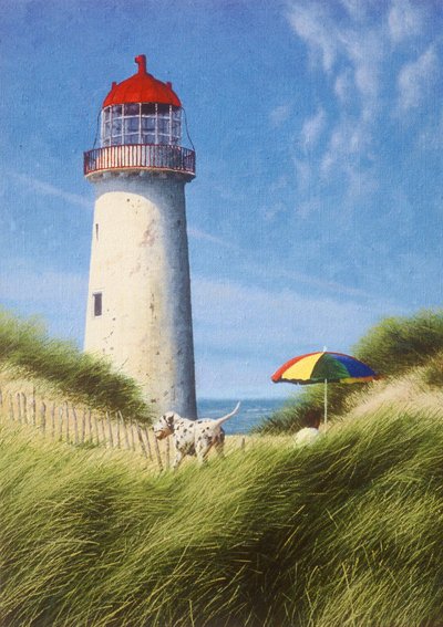 Päivä dyyneillä tekijältä Mike Briscoe