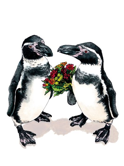 Anniversary Penguins on White, 2020 tekijältä Mike Davis