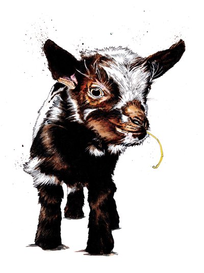 Vuohenvauva valkoisella, 2020 tekijältä Mike Davis