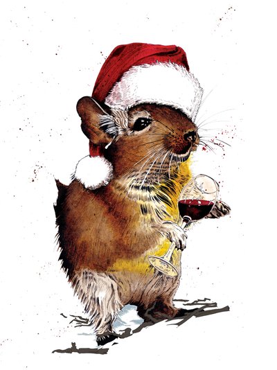 Joulu Degu valkoisella, 2020 tekijältä Mike Davis