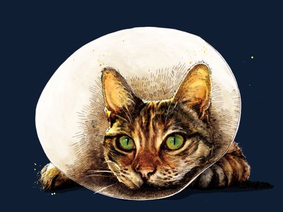 Get Well Cat on Midnight Blue, 2020 tekijältä Mike Davis