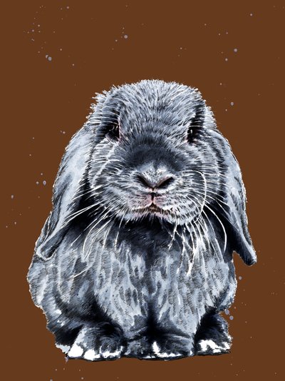 Gray One The Bunny Burnt Orangessa, 2020 tekijältä Mike Davis
