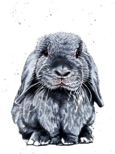 Grey One The Bunny on White, 2019 tekijältä Mike Davis