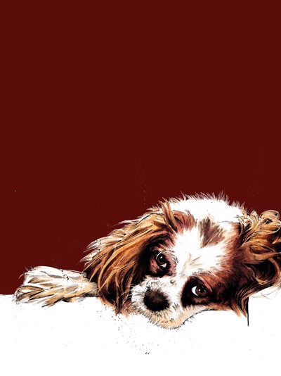 Meg The Spaniel on Red Oxide, 2020 tekijältä Mike Davis