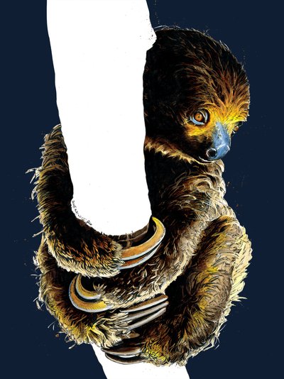 Talita The Sloth on Midnight Blue, 2020 tekijältä Mike Davis