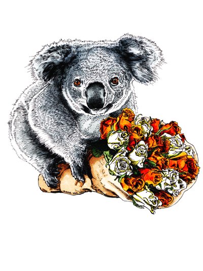 Kiitos Koala on White, 2020 tekijältä Mike Davis