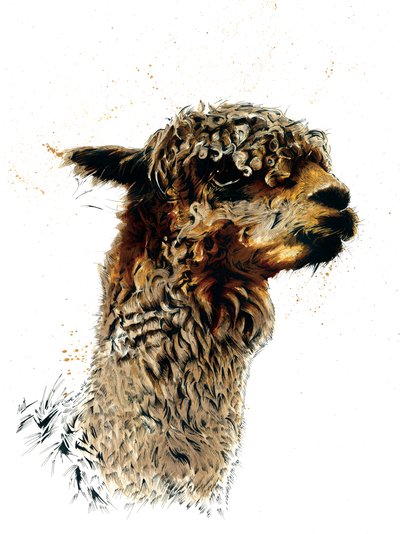 Alpaka valkoisella, 2019 tekijältä Mike Davis