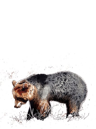 Karhu valkoisella, 2020 tekijältä Mike Davis