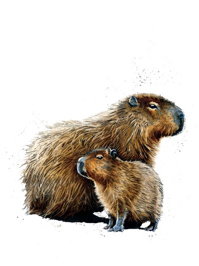 Kapybarat valkoisella, 2019 tekijältä Mike Davis